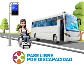 boleto pase libre discapacidad